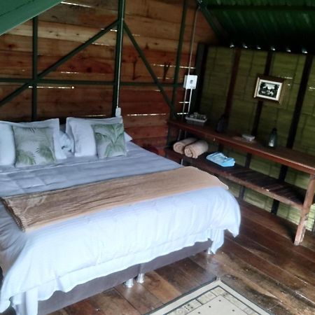 Ecohotel Pinohermoso Reserva Natural Саленто Экстерьер фото