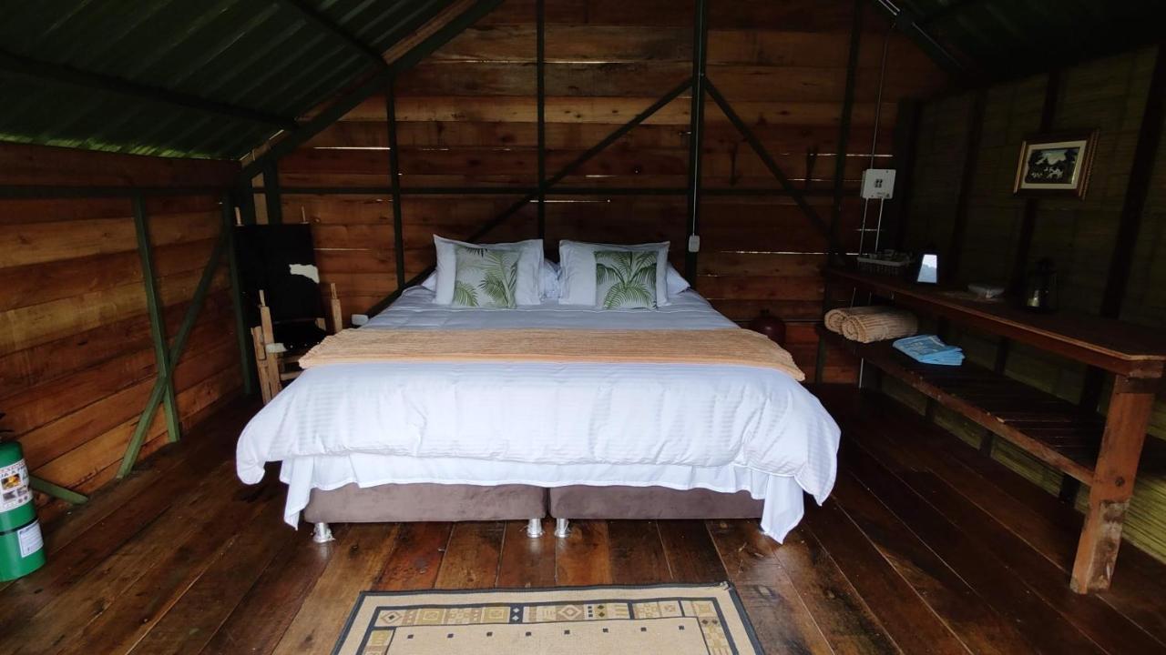 Ecohotel Pinohermoso Reserva Natural Саленто Экстерьер фото