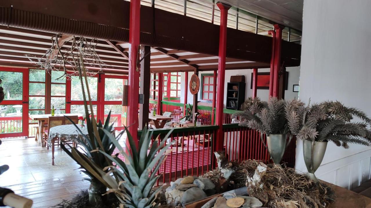 Ecohotel Pinohermoso Reserva Natural Саленто Экстерьер фото