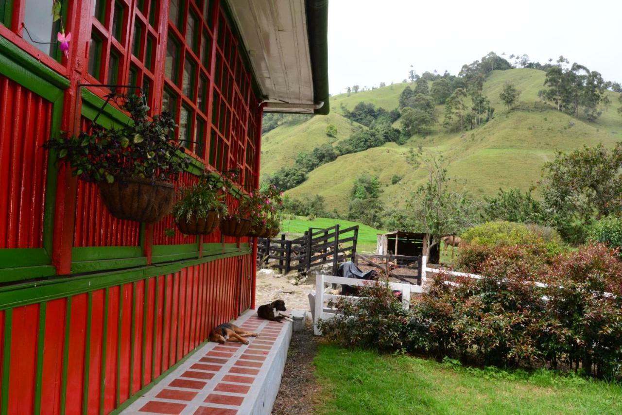 Ecohotel Pinohermoso Reserva Natural Саленто Экстерьер фото