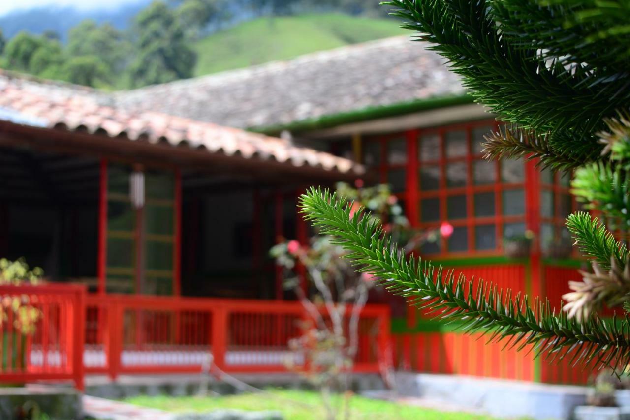 Ecohotel Pinohermoso Reserva Natural Саленто Экстерьер фото