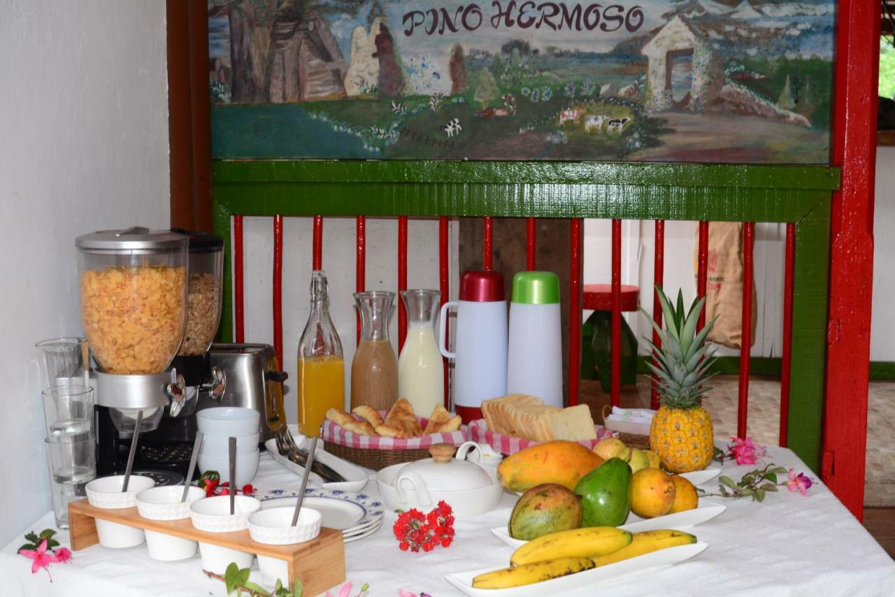 Ecohotel Pinohermoso Reserva Natural Саленто Экстерьер фото