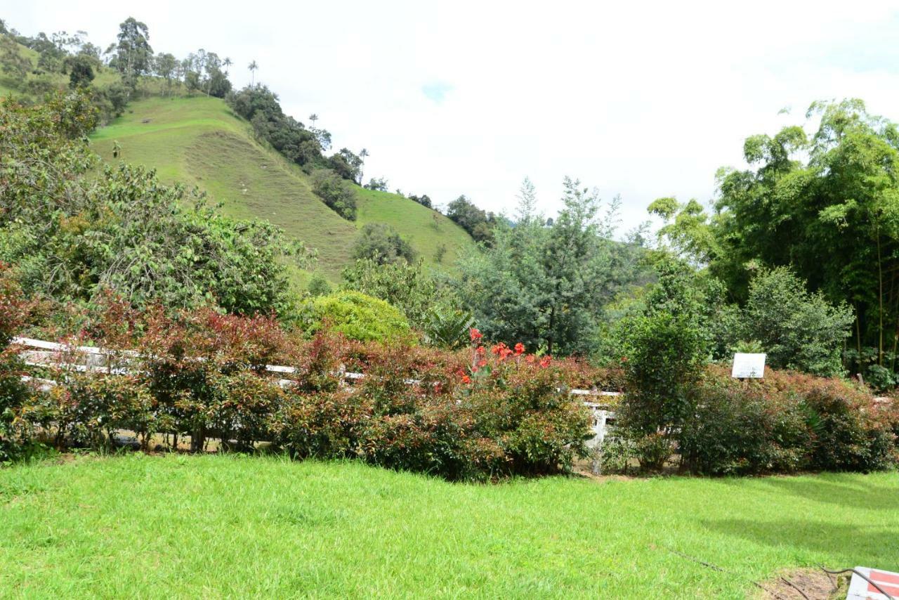 Ecohotel Pinohermoso Reserva Natural Саленто Экстерьер фото